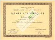 Palmas académicas
